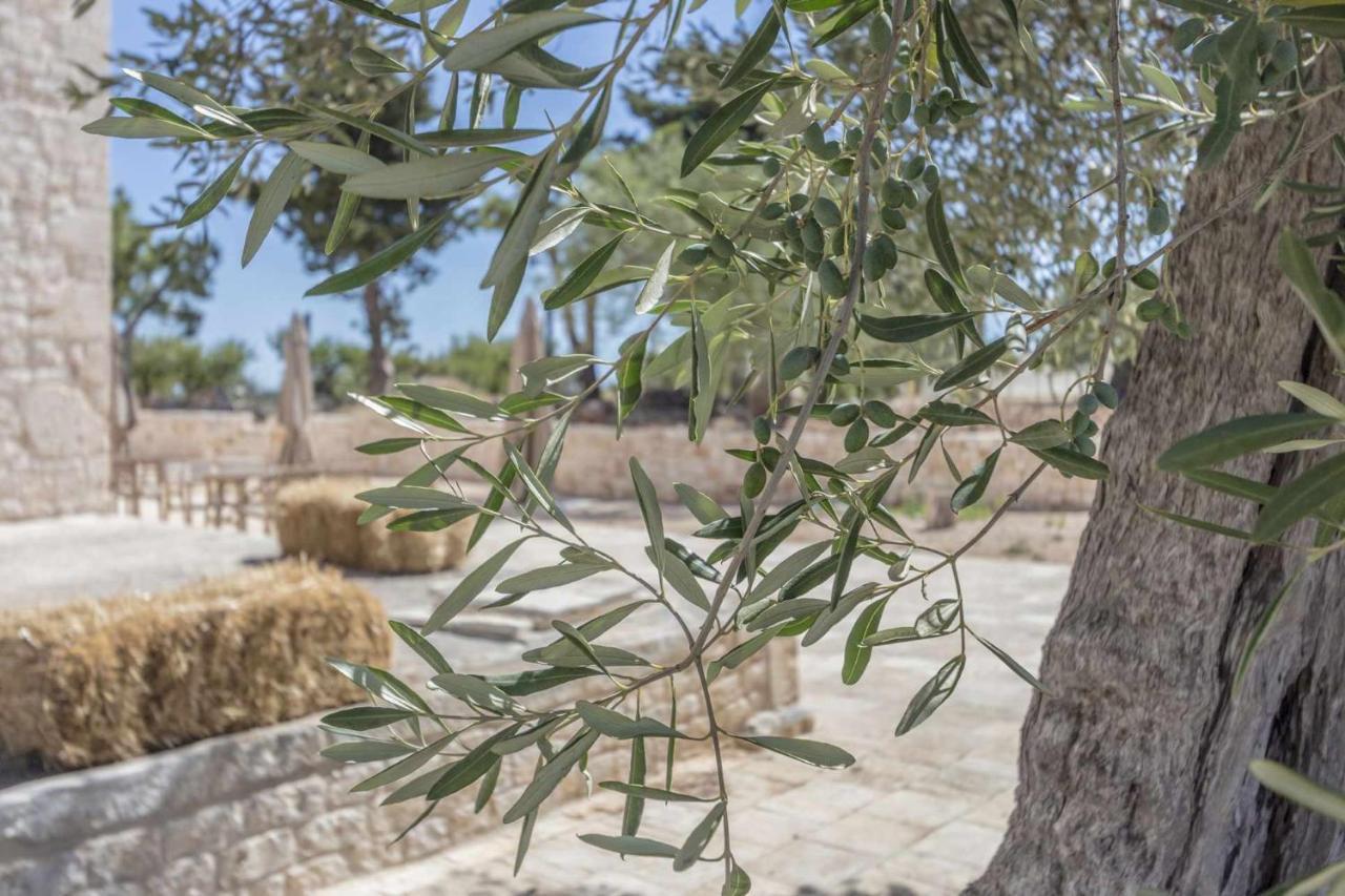 Masseria Fanizzi Conversano Dış mekan fotoğraf