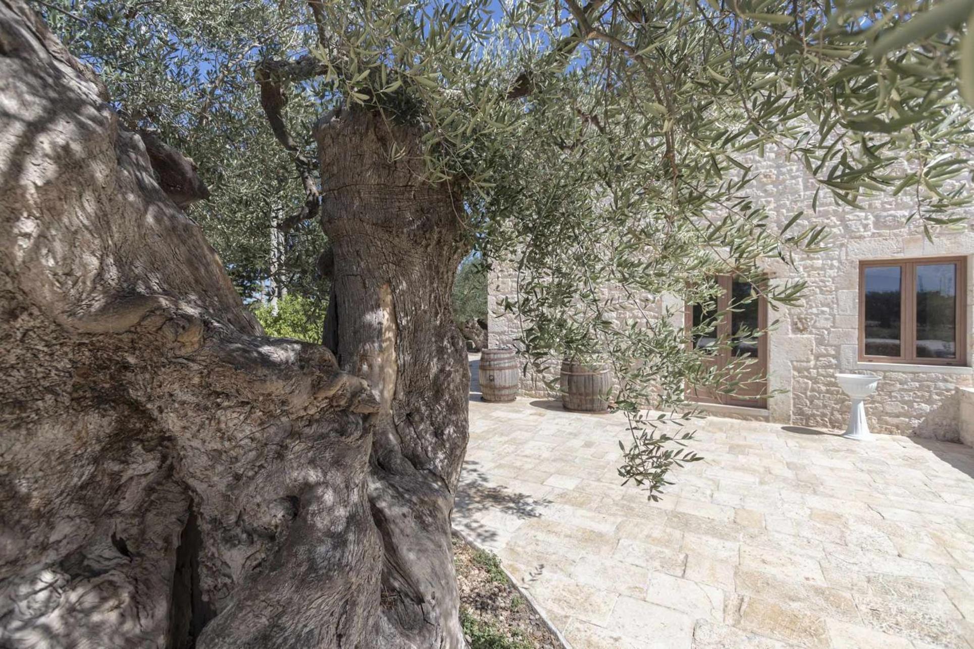 Masseria Fanizzi Conversano Oda fotoğraf