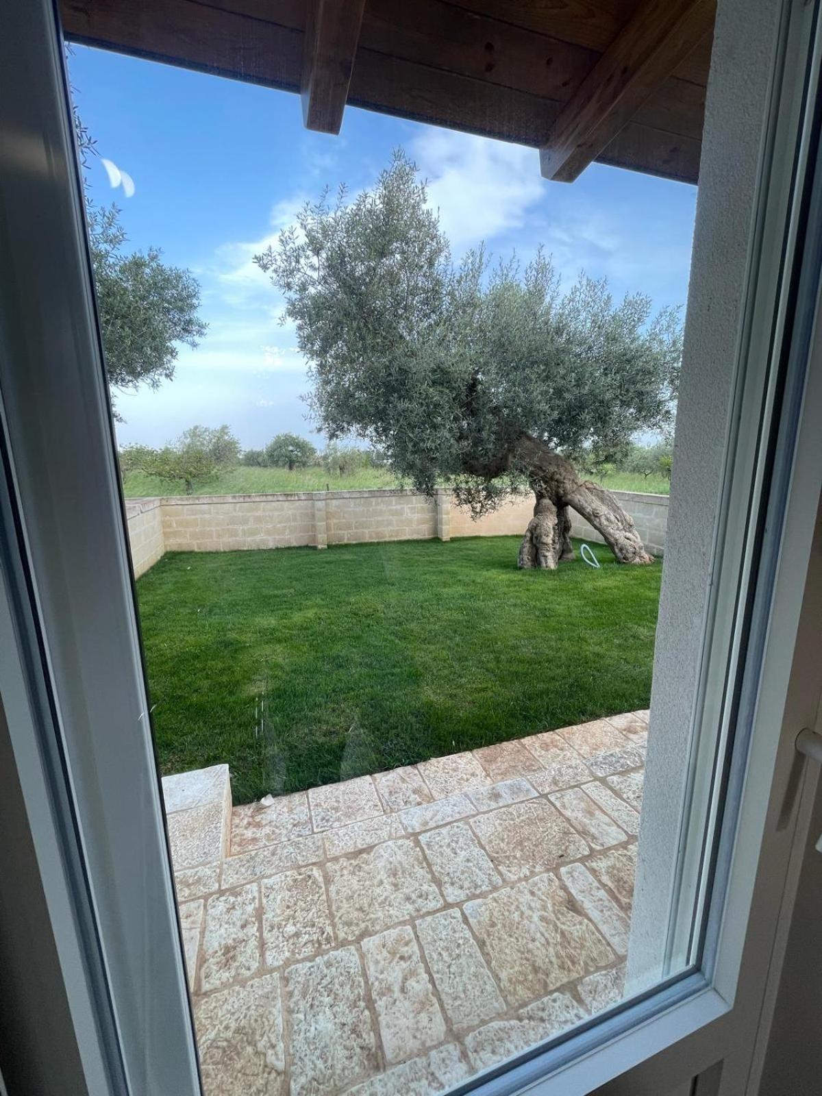 Masseria Fanizzi Conversano Oda fotoğraf